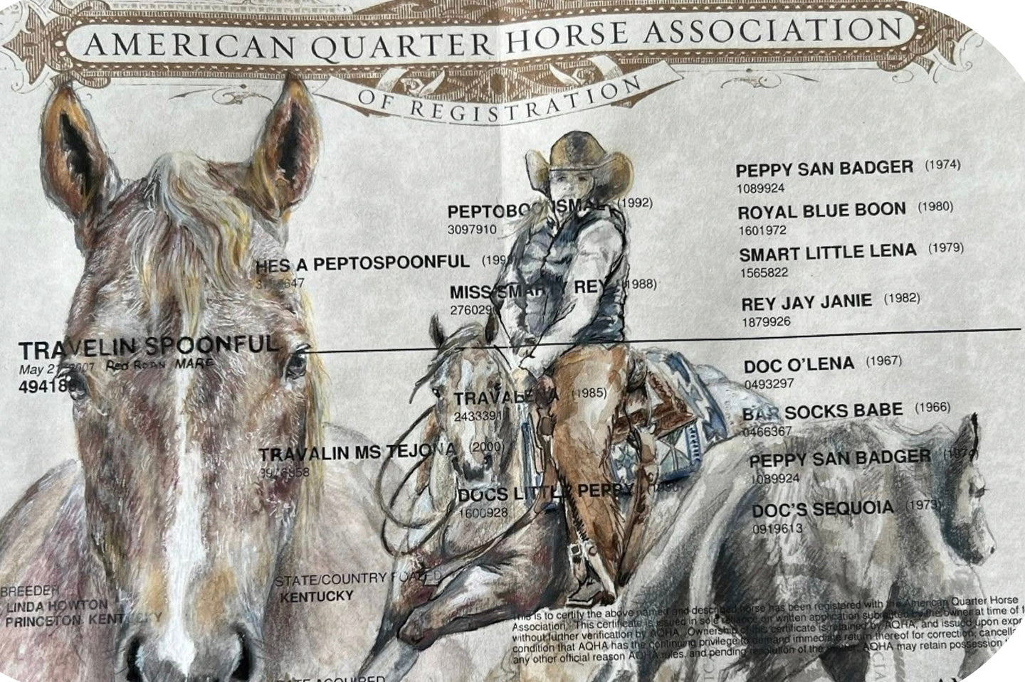 Custom Hand-Painted Horse Papers by Cat Davenport
