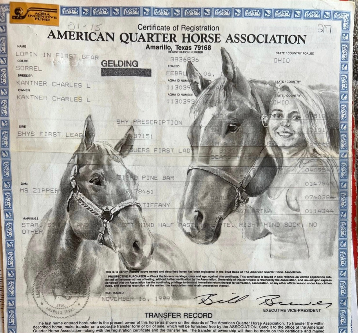Custom Hand-Painted Horse Papers by Cat Davenport