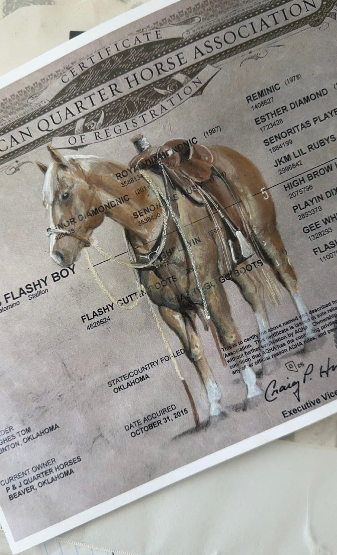 Custom Hand-Painted Horse Papers by Cat Davenport