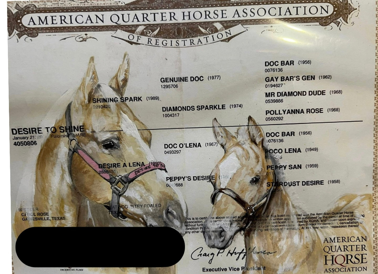 Custom Hand-Painted Horse Papers by Cat Davenport
