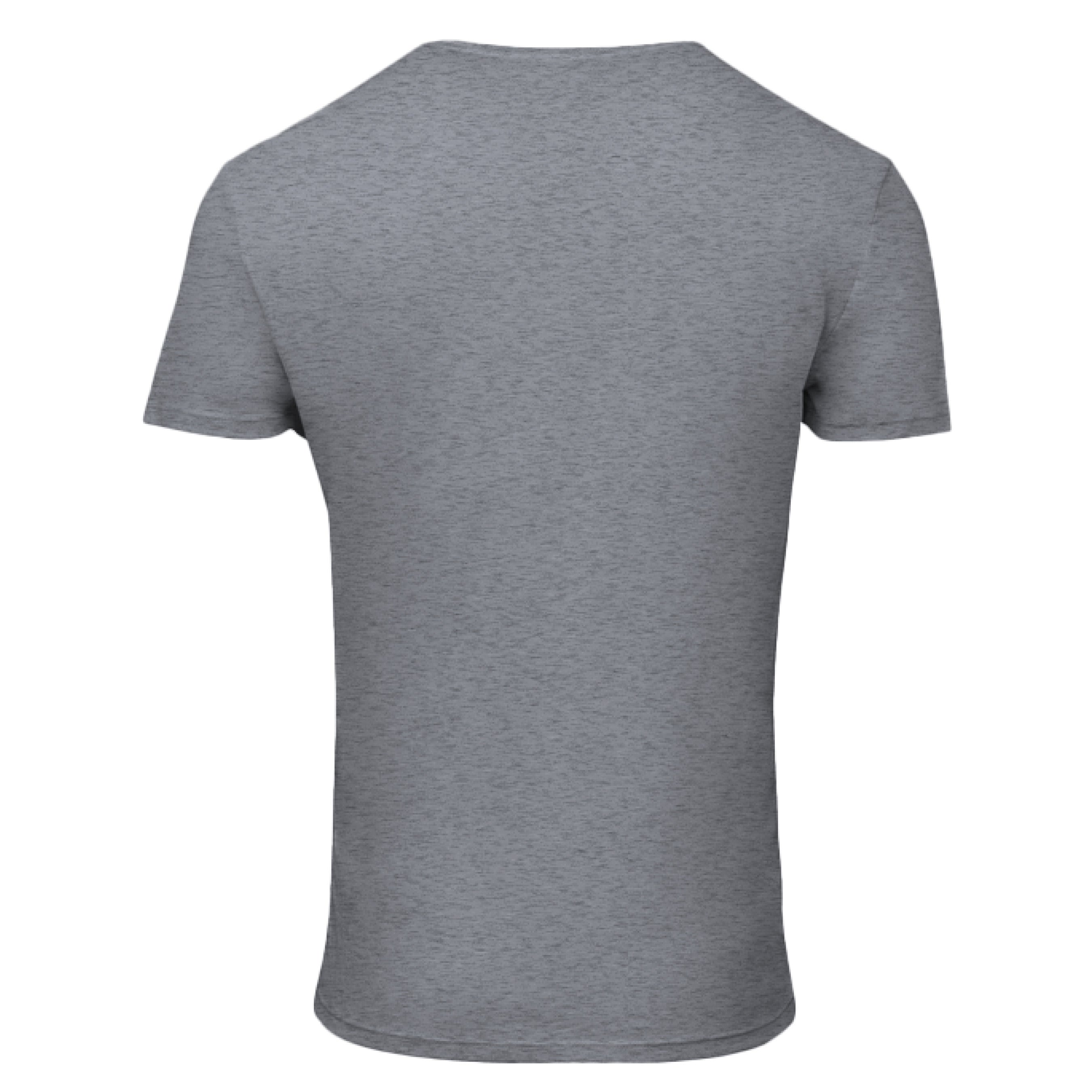 GREY TRIBLEND - BACK