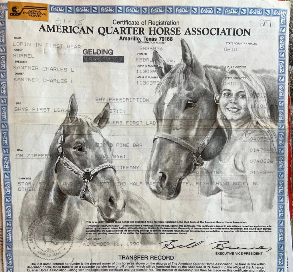 Custom Hand-Painted Horse Papers by Cat Davenport