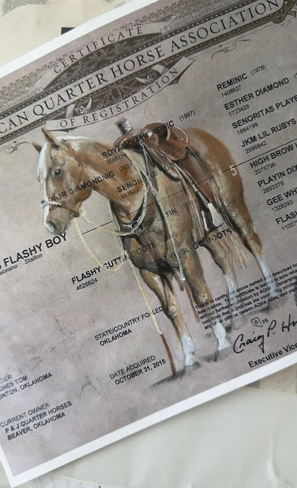 Custom Hand-Painted Horse Papers by Cat Davenport