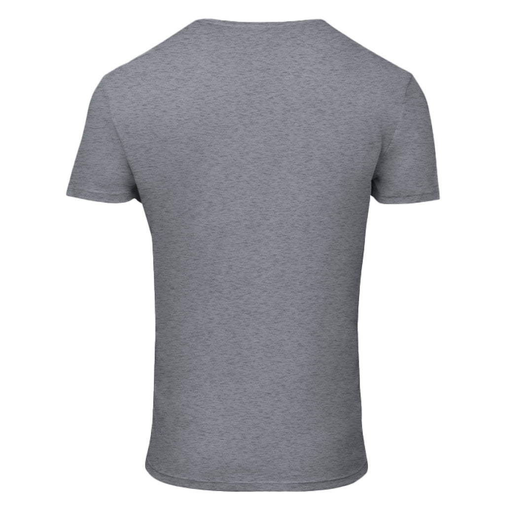GREY TRIBLEND - BACK