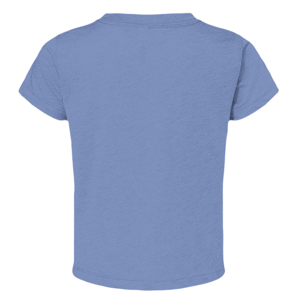 BLUE TRIBLEND - BACK